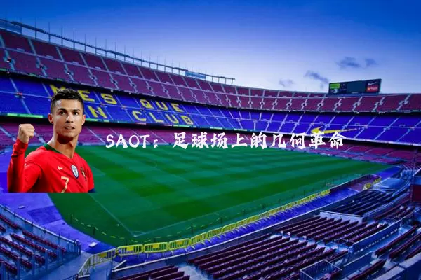 SAOT:足球场上的几何革命