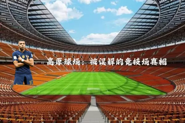 高原球场：被误解的竞技场真相